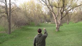 preview picture of video 'Steve Blink  Hole #3 - 2011/05//03 Ypsi Dubs - the Original Tuesdays - Disc Golf League Round'