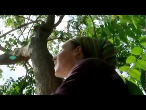 In Zion - Sista Sherin