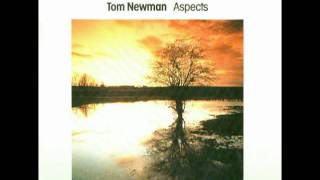TOM NEWMAN   The Rokeby Venus   ASPECTS