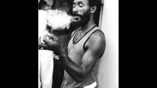Lee Perry and the Upsetters- Capsol