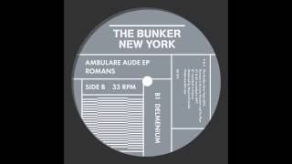 Romans - "Delmenium" (The Bunker New York 012)