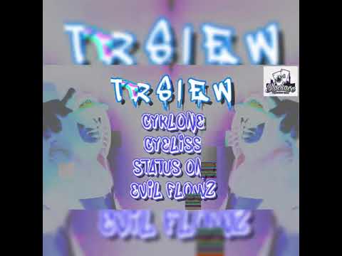 T.R.S.I.E.W (The Realist Shit I Ever Wrote)