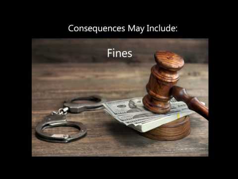 Video: Consequences of a Drug Offense