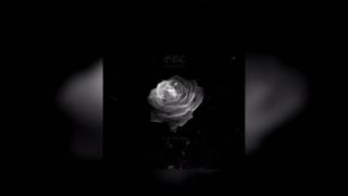 Mackned - Stopped Counting (prod. Mackned)