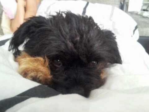 Darnell - 69 (Clubmix)