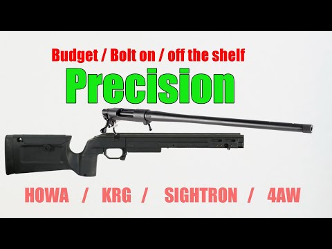 Off the shelf, bolt on, budget Precision Rifle