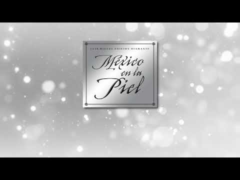 Luis Miguel - El Viajero (Video Con Letra)