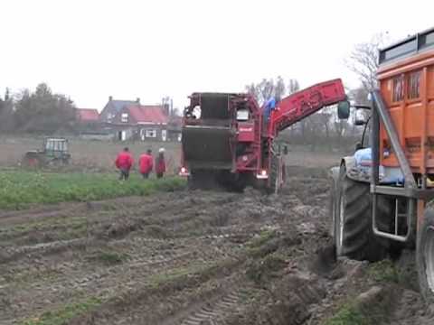 Dewulf R3060 - 2-row self-propelled carrot harvester