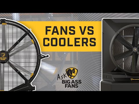 Should I buy a fan or cooler?