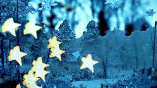 Trembling Blue Stars- Snow Showers