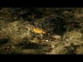 This Mortal Coil - A Single Wish