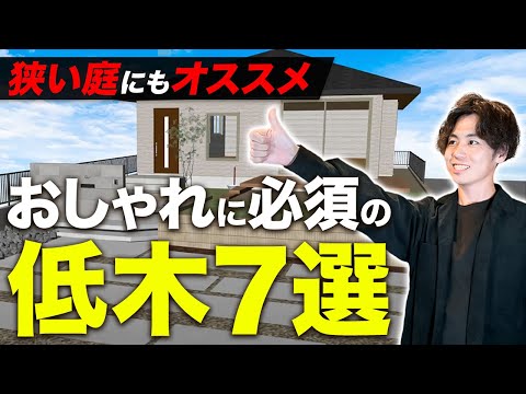 木々や低木を使った庭のデザイン:プロのコツ ガーデンデザイン