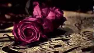 ♥➷♥  Milagro de Abril  ♥➷♥  Alberto Plaza