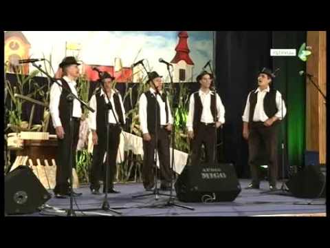 JAK SOM ŠE ZALJUBEL - Hlopska grupa RKC Novi Sad