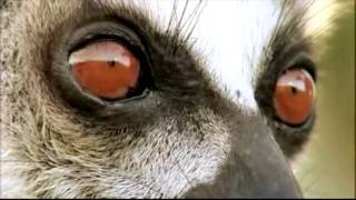 Discovery: I Love the World