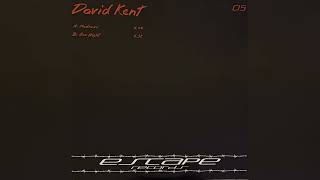 David Kent - Madness / One Night [Full Single]