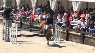 Video koně Baltik Sitte