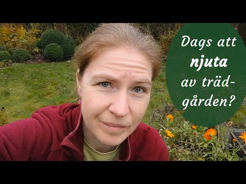 Trädgårdsvlogg: När gräsklipparna tystnat