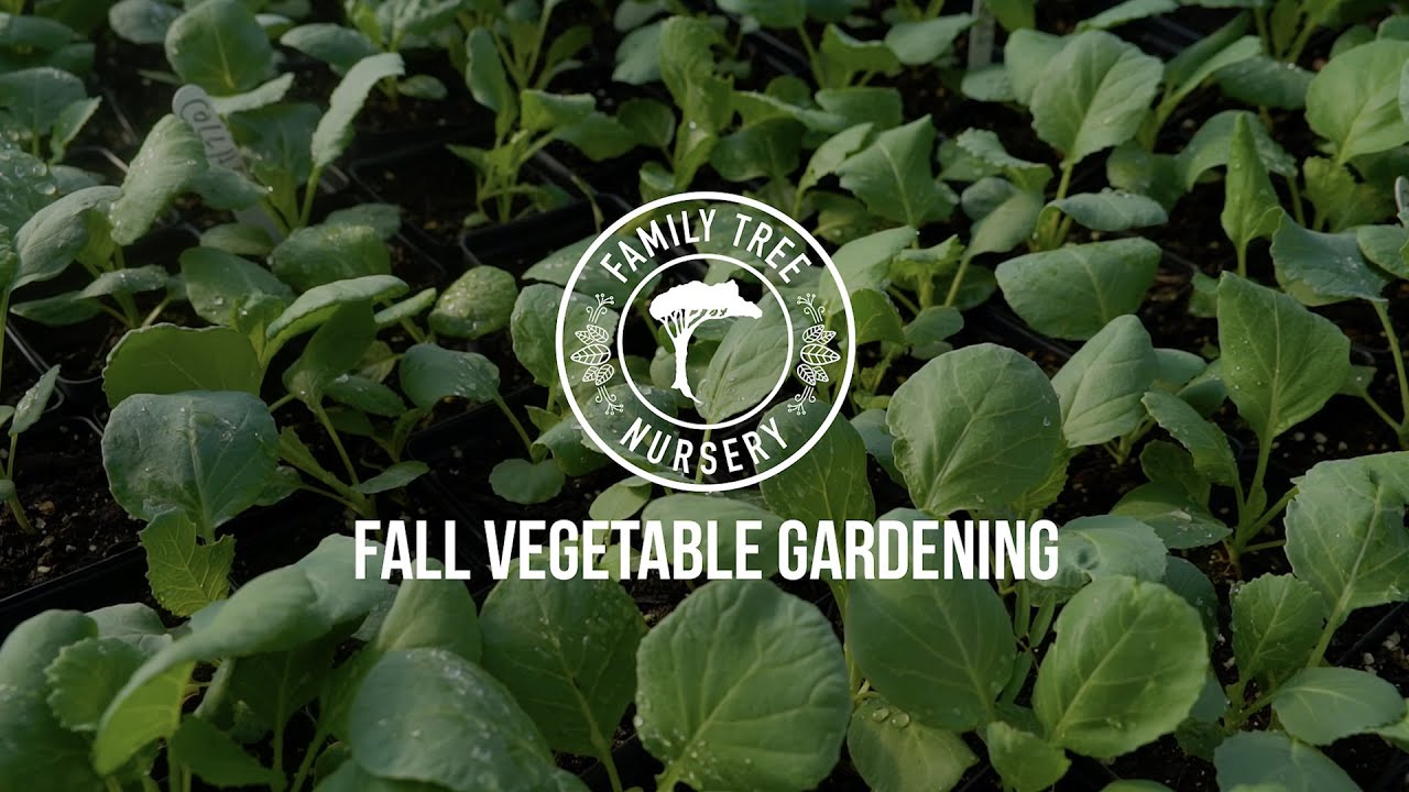 Fall Vegetable Gardening