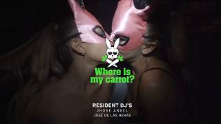 Aftermovie  170117  Where is my carrot  Blackhaus