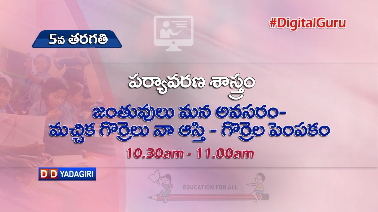 5th Class EVS | జంతువులు మన అవసరం - మచ్చిక గొర్రెలు నా ఆస్తి - గొర్రెల పెంపకం | School | Aug05