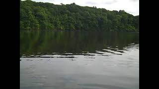 All About Eve - Dive In