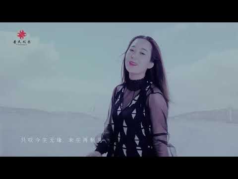 Bảy âu bay (Hǎi ōu fēi - 海鸥飛) - 龙梅子