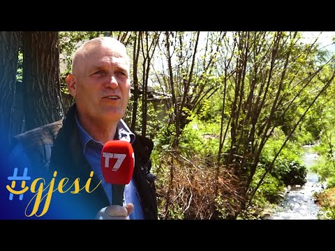 Gaçka e Ferizajit, fshati ku kultivohet mjalti | T7