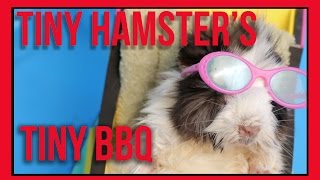 Tiny Hamster's Tiny BBQ (Ep. 8)