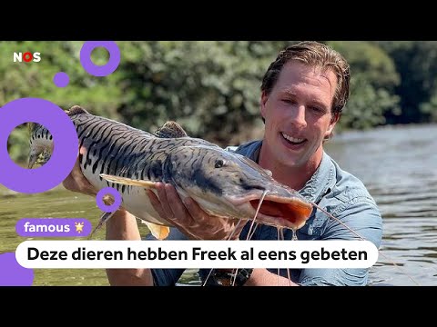 Waarom wordt Freek Vonk zo vaak gebeten?