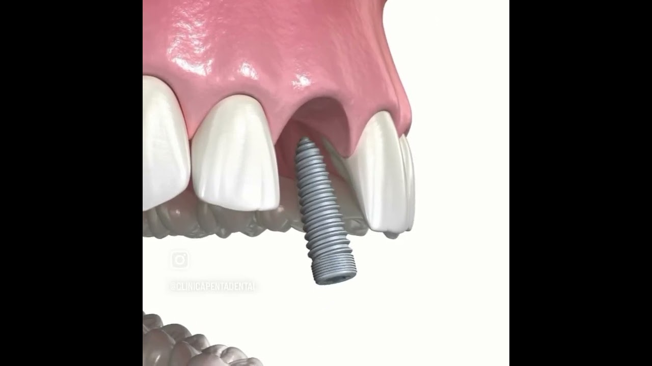 Myriam Barajas Camargo-6