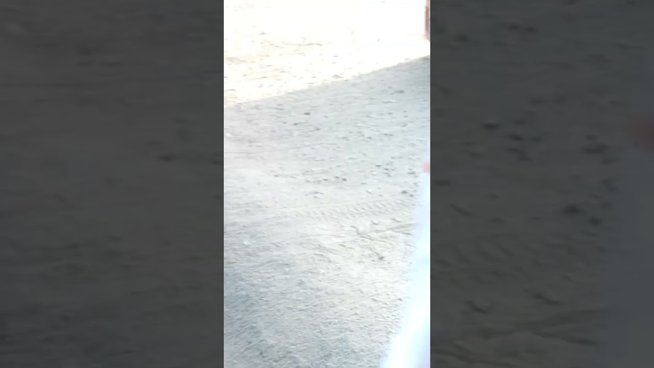 154 mm ground clearance Renault pulse#shorts#viral