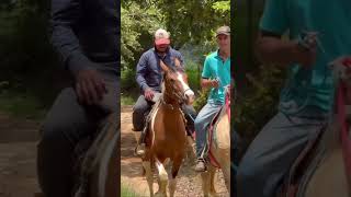 Escreva na pedra e na poeira!