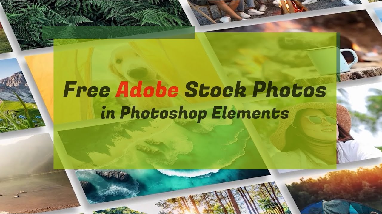 Free Adobe Stock Photos