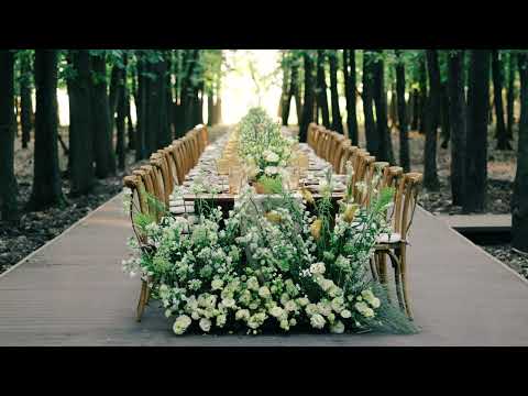 Singureni Manor Events