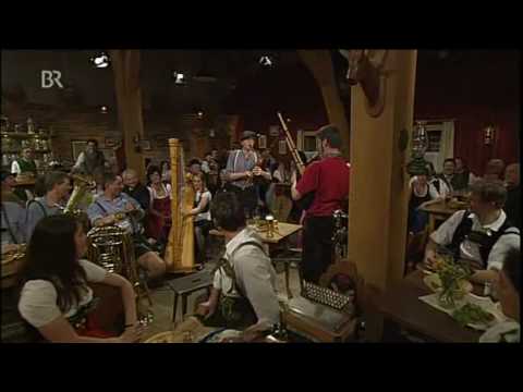 Boxgalopp: Bamberger Dreher