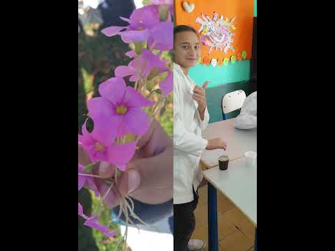 Escuela N° 16.Cerro Chato