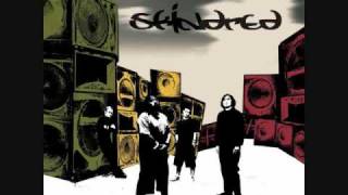 Skindred - Selector