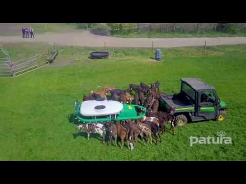 Weidehaltung nach irischem Vorbild | Agrargesellschaft Emster-Land