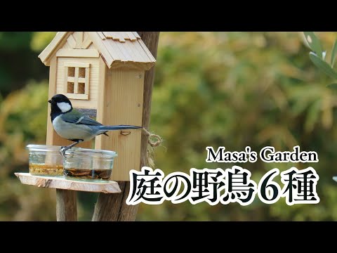 庭の知識: ヘビーフィーダー 庭の練習