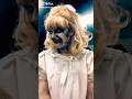 Bhayanak Bhoot Ki Chikh Bhoot Picture Comedy Shorts Viral Bhoot Viralvideo Ghost Tiktok