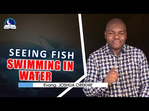 Seeing Fish Swimming in Water Dream Meaning
