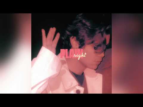 Plain Sight (sun zara) - ansh