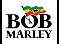 Bob Marley & The Wailers - Babylon System (Lyrics on screen)