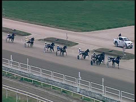 Trotto 14/12/2018 - 3ª corsa