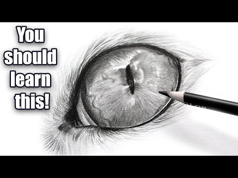 The importance of black and white | Cat eye drawing