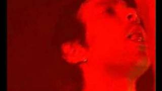 Shed Seven - Cry For Help