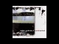 Robin Guthrie - Continental (2006) (Full Album) [HQ]