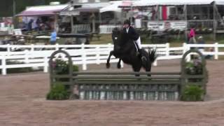 Video of AMBASSADOR CWF ridden by TARYN FALL from ShowNet!