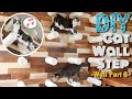DIY How To Make Floating Cat Post Wall Steps Cat Wall Perch Sisal Rope WALL PART 3